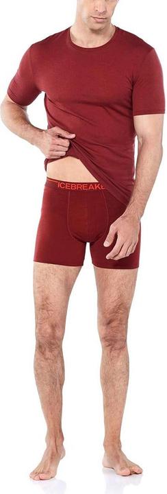 Actual product image Icebreaker Anatomica (M)