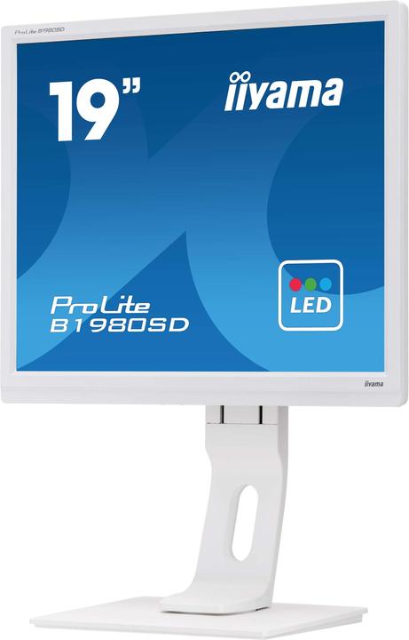 Actual product image iiyama B1980SD-W1 (1280 x 1024 pixels, 19")