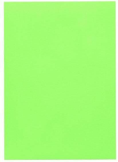 Produktbild Artoz 1001 A4 220g birkengrün 5 Kartons (A4, 220 g/m², 5 x)