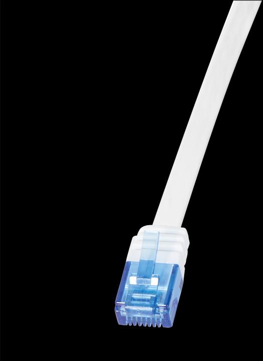 Actual product image LogiLink Network cable (U/UTP, CAT5e, 3 m)