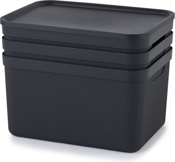 Actual product image Rotho Set of 3 decorative boxes with lid DIN A4 JIVE (36.5 x 26.5 x 20 cm, 48 l)