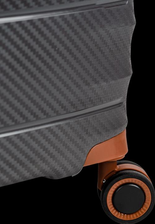 Actual product image Swissbags Prestige (47 l, Hand luggage (up to 50 litres))