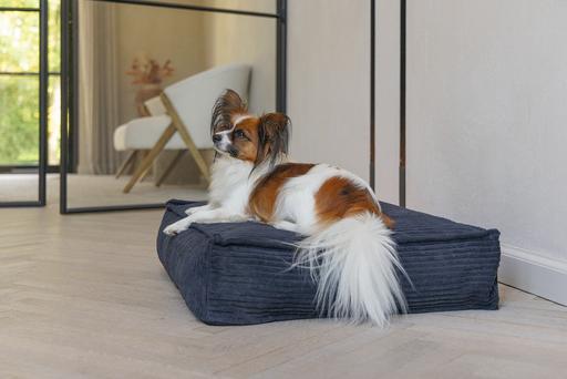 Actual product image Designed by Lotte Ribbed (Dog)