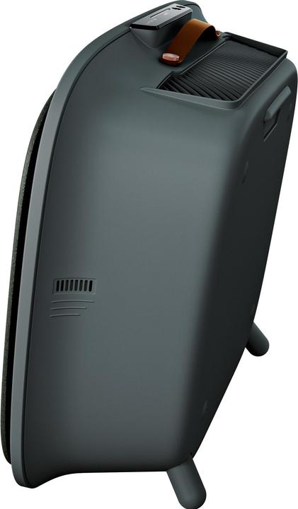 Immagine prodotto AEG AX71-304DG - Pulitore a lince Donkergrijs