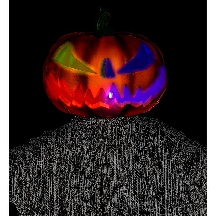 Actual product image Widmann Vogelscheuche Mit Blinkenden Augen 152 cm