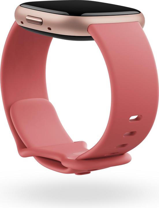 Immagine prodotto Fitbit Versa 4 (40.50 mm)