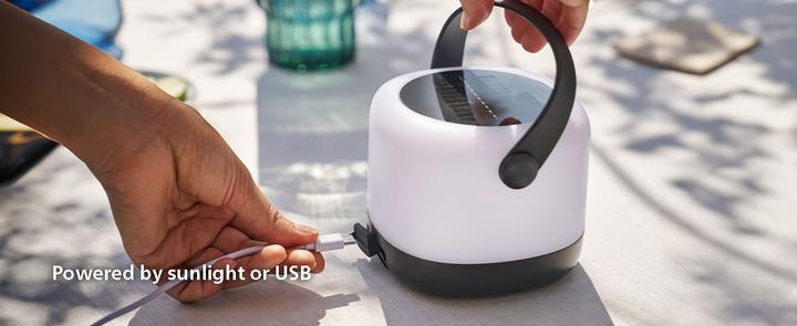 Actual product image Philips Alula (80 lm)