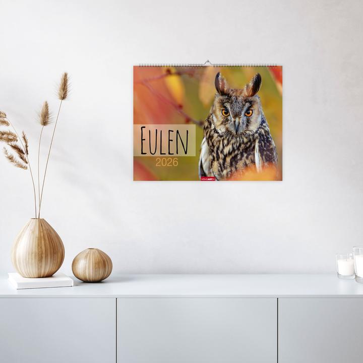 Immagine prodotto Eulen Kalender 2026 (44 x 34 cm, Copertina rigida, Tedesco, Inglese)