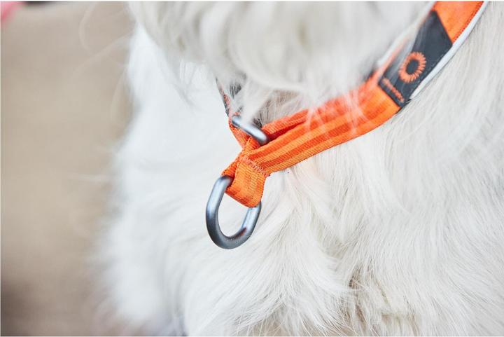 Produktbild Non-Stop Dogwear Cruise Collar Orange XXS (XXS, Hund, Spazieren)