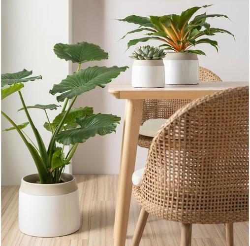 Produktbild Scheurich Blumentopf Blanco 717, 21.9 cm, Weiss, Detailfarbe (21.90 cm)