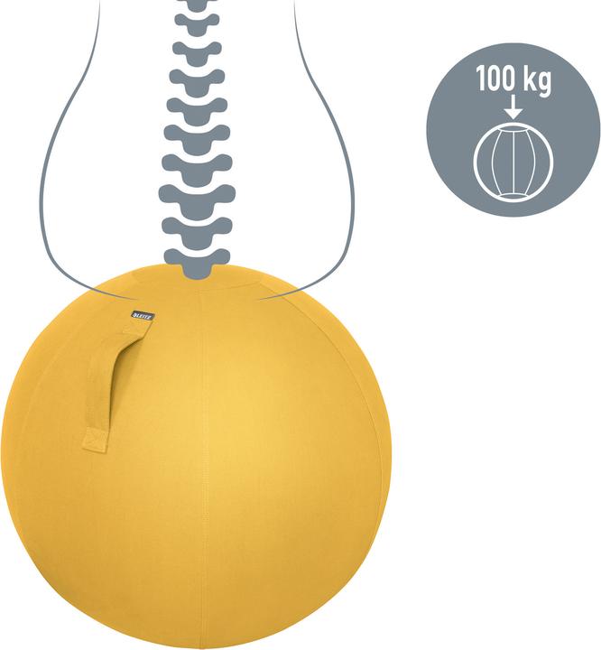Produktbild Leitz Ergo Cosy Active Sitzball (65 cm)