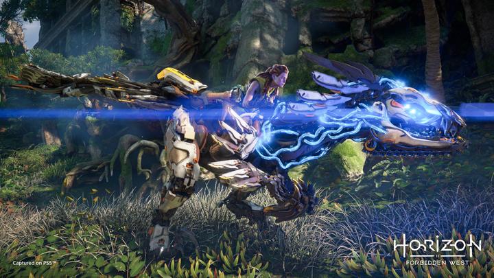 Produktbild Sony Horizon: Forbidden West (PS4) (PS4)
