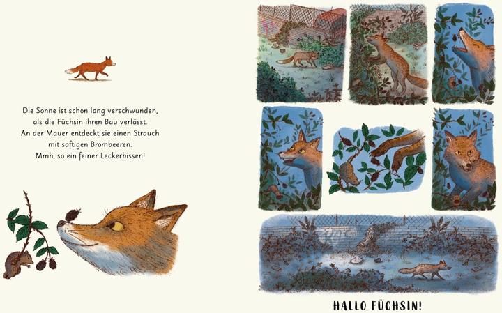 Actual product image Wunder der Natur. Das Gute-Nacht-Buch (German, Rachel Williams, 2022)