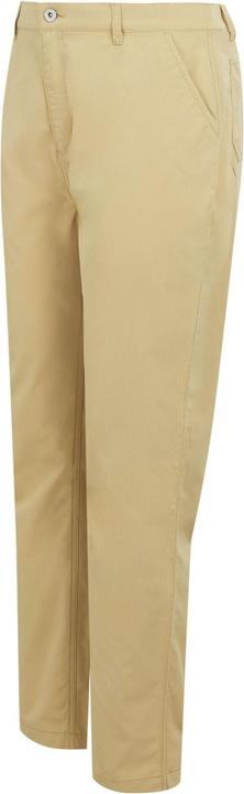 Actual product image Regatta Mens Dalry Multi Pocket Trousers (Frequency band 38 (2600 MHz))