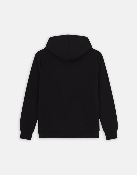 Immagine prodotto Dickies Felpa con cappuccio Icon Logo (XS)
