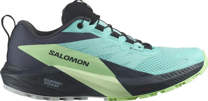 Produktbild Salomon Sense Ride 5 GTX W 472160 39 1/3 (39.5)