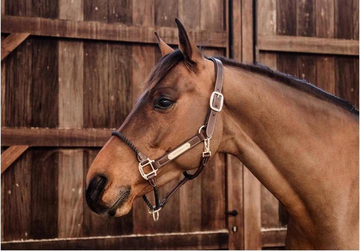 Produktbild Kentucky Horsewear Lederseilhalfter