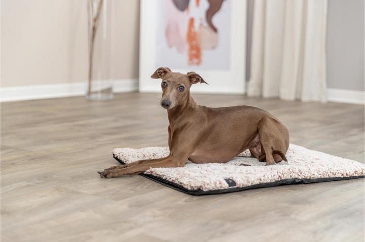 Image du produit Trixie Hunde-Liegematte Calida 60 cm x 45 cm (Chien)