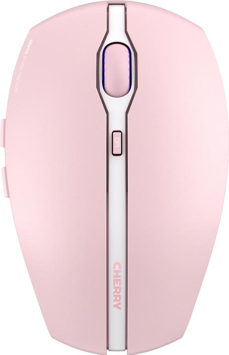 Fiore di ciliegio