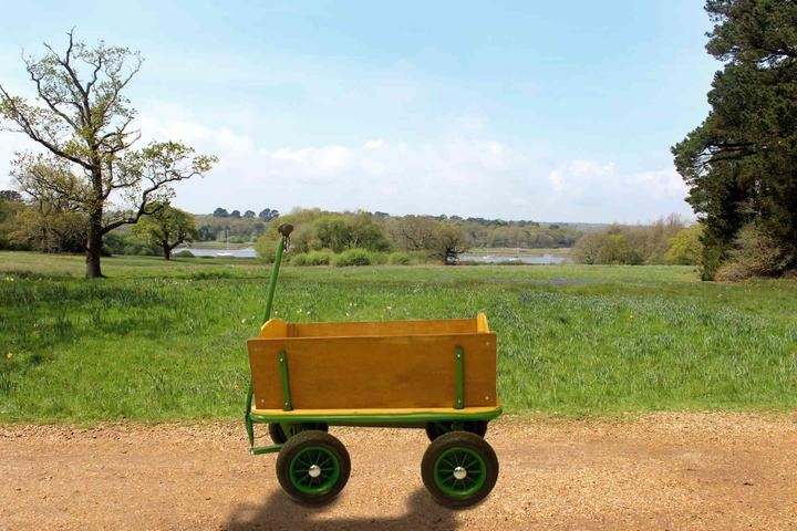 Produktbild Colibri Bollerwagen
