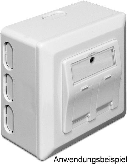 Productafbeelding Delock Achterkast - Installatiekast Netwerkinterface (Netwerk accessoires)