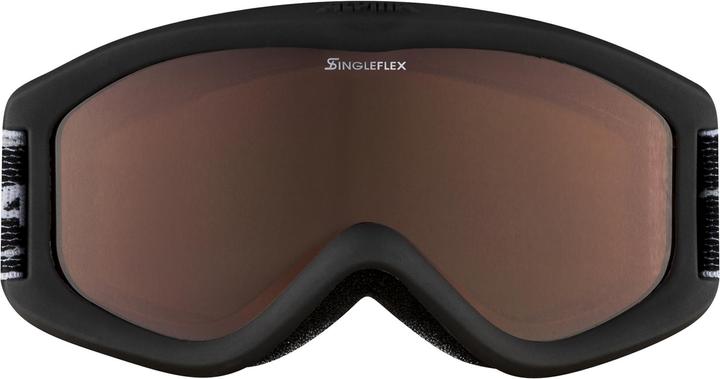 Produktbild ALPINA SPORTS Carvy 2.0