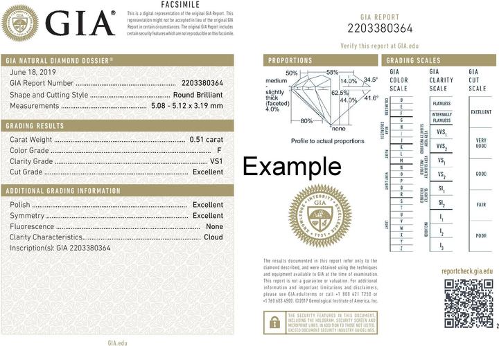 Immagine prodotto Goldberg Diamant Collana solitaria Vendome 750/1000 con certificato di diamante GIA (Oro bianco)
