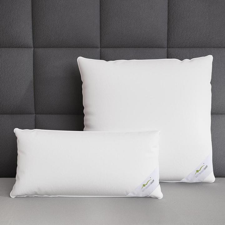 Actual product image BettwarenShop Comfort (80x80 cm)