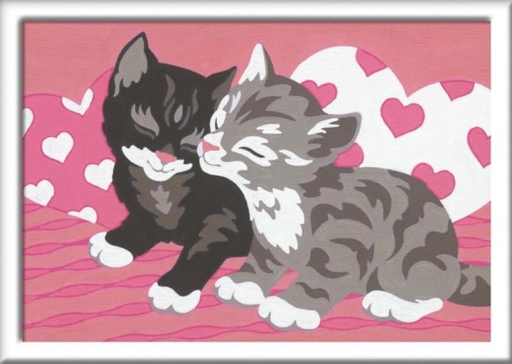 Produktbild Ravensburger Kuschelkatzen