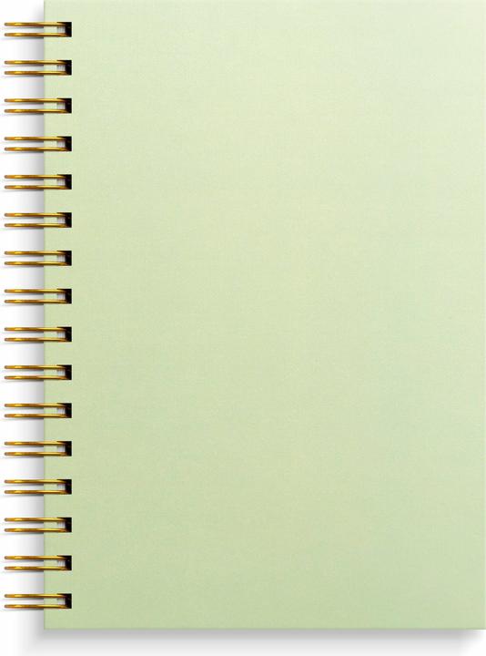 Burde Notizbuch A5 grn (A5, Harter Einband)