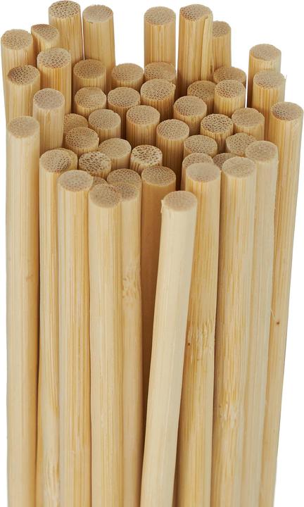 Actual product image Relaxdays 50x plant stick (60 cm, 60 cm)