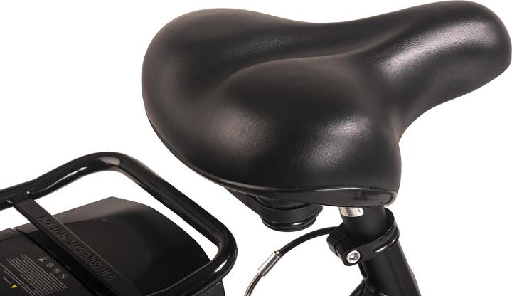 Image du produit Hollandia E-Citybike Femme E-Active 28" E-Bike 6 vitesses (50 cm)