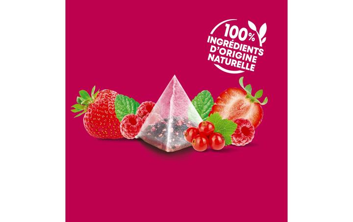 Produktbild Elephant Infusion Fruit Rouges (48 g)