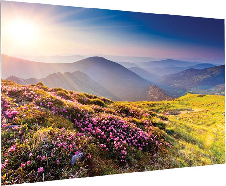 Actual product image Projecta FullVision - 2.95 m (116 inches) - 2.6 m - 163 cm - 16:10 - HD Progressive 1.1 (116", 16:10)