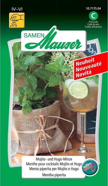 Samen Mauser Mojito- und Hugo-Minze (Kräutersamen)