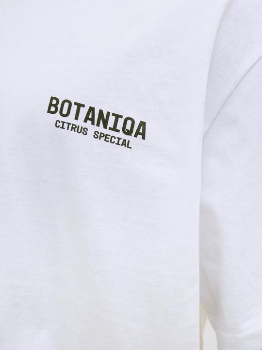 Actual product image Jack & Jones Jorbotaniq Tee Ss Crew Neck Tg Ln (XL)