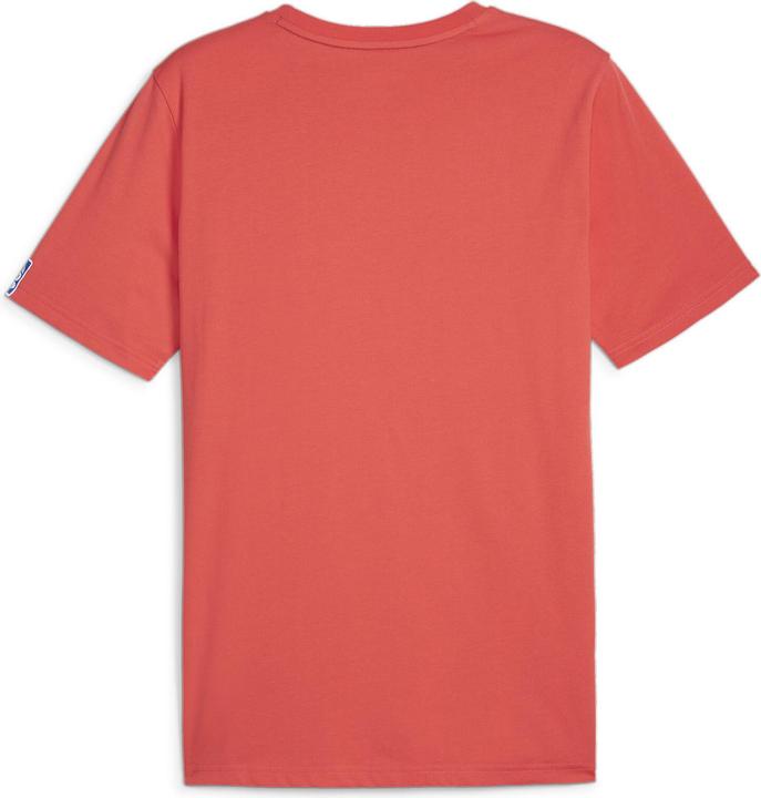 Actual product image Puma Handball Tee (M)