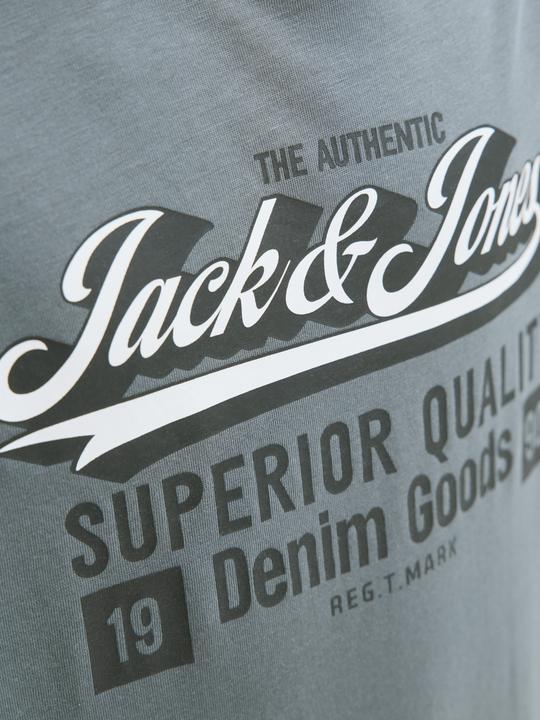 Actual product image Jack & Jones Jjelogo Tee Ss Oneck 2 Col Aw25 Noos Jnr (164)
