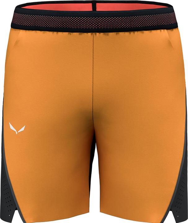 Salewa PEDROC 2 DST Herren SHORTS