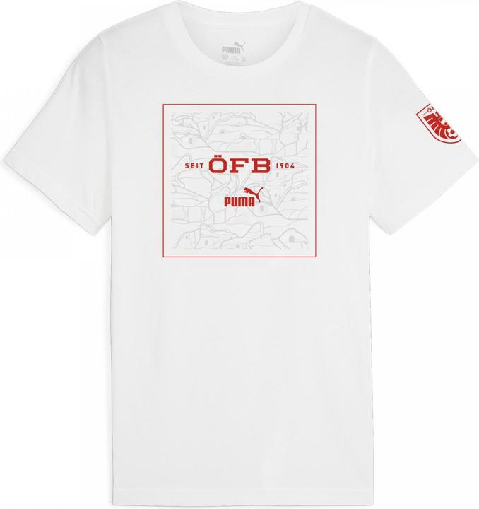 Image du produit Puma ÖFB Ftblicons Tee Jr (152)