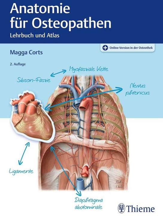 Produktbild Anatomie für Osteopathen (Deutsch, Magga Corts, 2022)