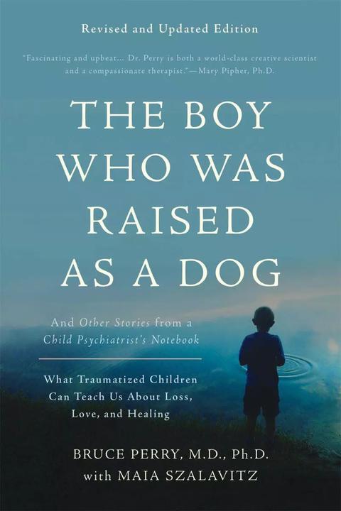 Immagine prodotto The Boy Who Was Raised as a Dog, 3rd Edition (Inglese, Maia Szalavitz, Bruce D. Perry, 2017)