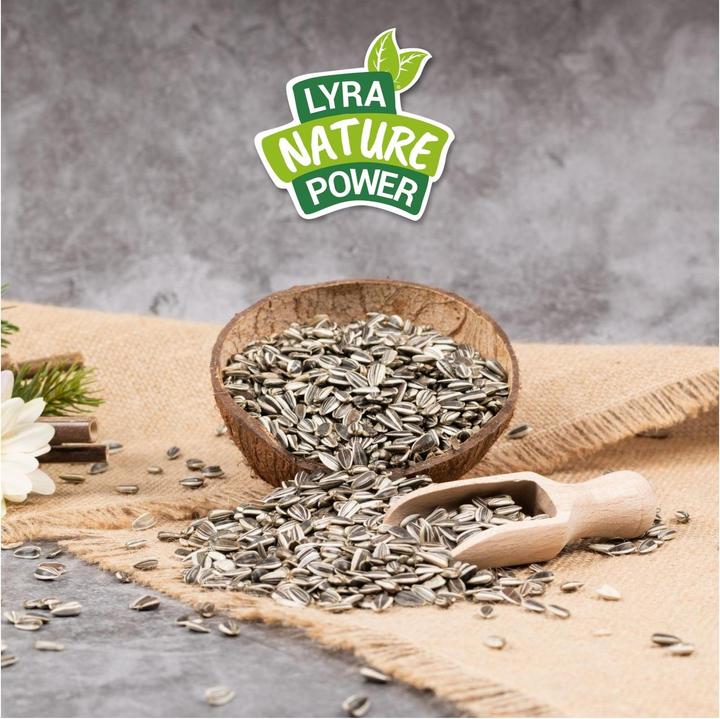 Produktbild Lyra Pet Sonnenblumenkerne gestreift (1 x, 25 kg)