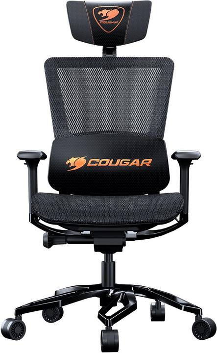 Actual product image Cougar Argo