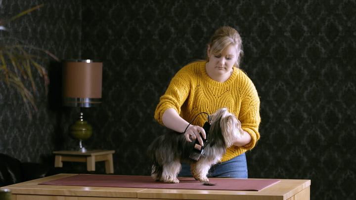 Produktbild Moser Tierhaarschneidemaschine (Hund, Katze)
