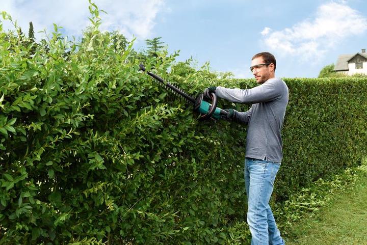 Produktbild Bosch Home & Garden Ahs 55-20 (Akkuheckenschere)