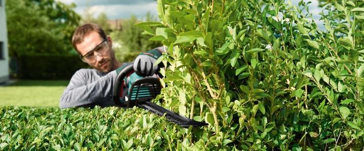 Produktbild Bosch Home & Garden Ahs 55-20 (Akkuheckenschere)