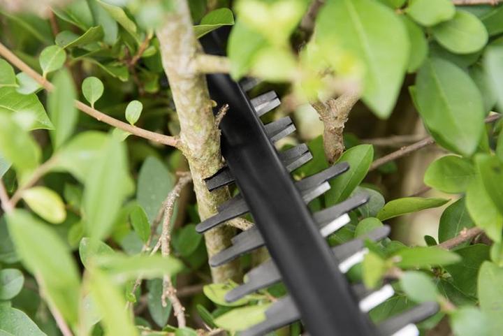 Produktbild Bosch Home & Garden Ahs 55-20 Li (Akkuheckenschere)