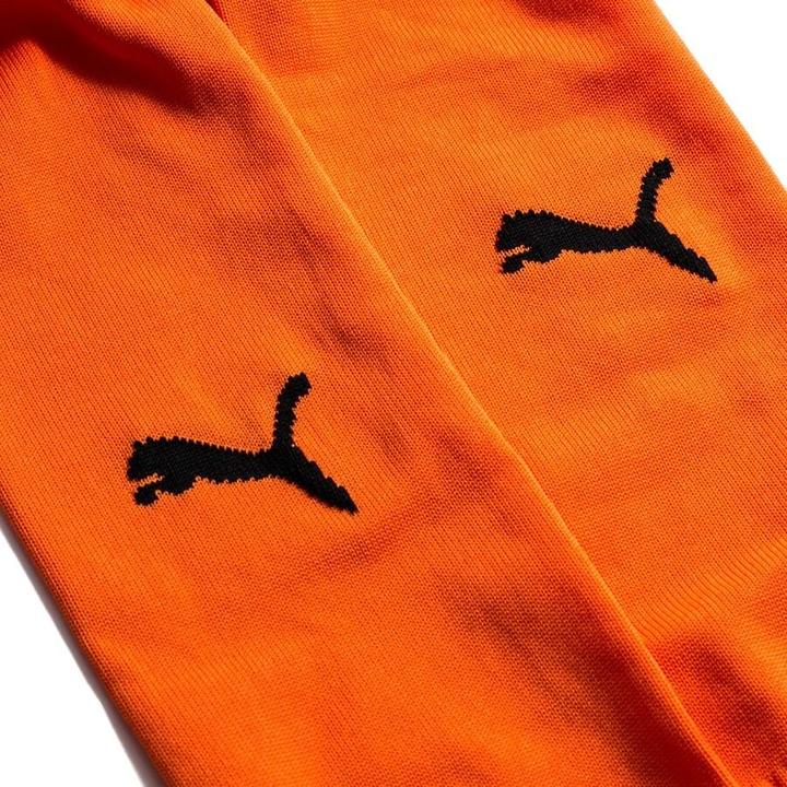 Actual product image Puma Team LIGA Socks CORE-703441 (35 - 39)