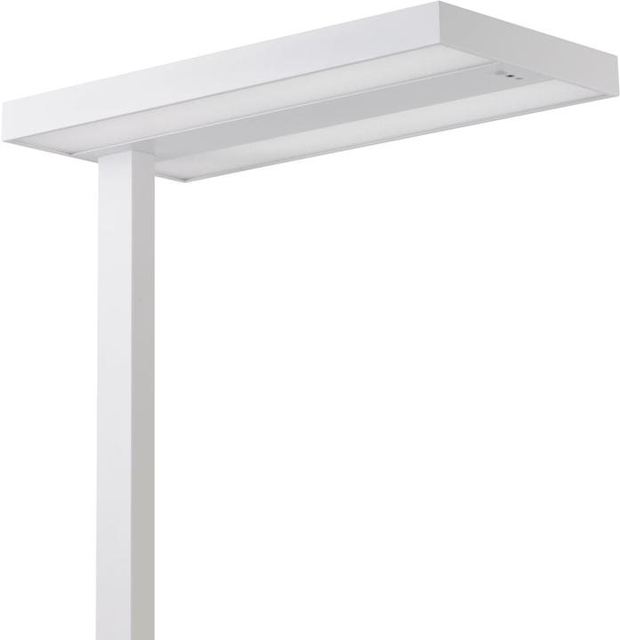 Image du produit Alco Lampadaire 9085-10 LED blanc (5400 lm)